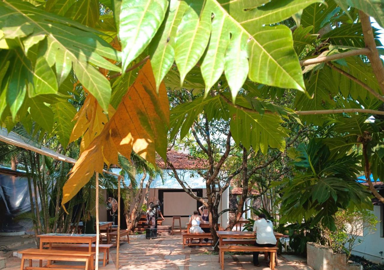 The Funky Monkey Hostel アンジュナ エクステリア 写真