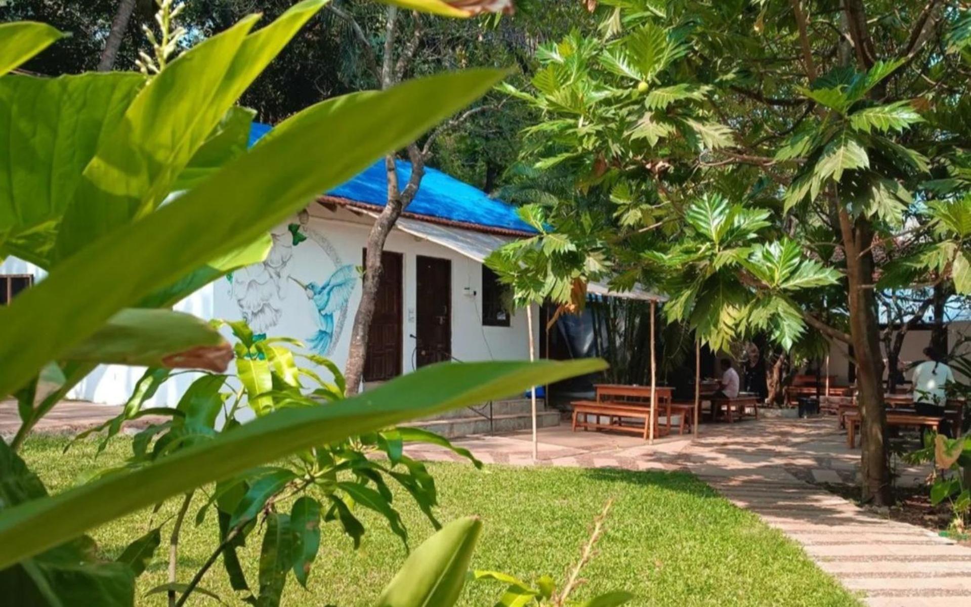 The Funky Monkey Hostel アンジュナ エクステリア 写真